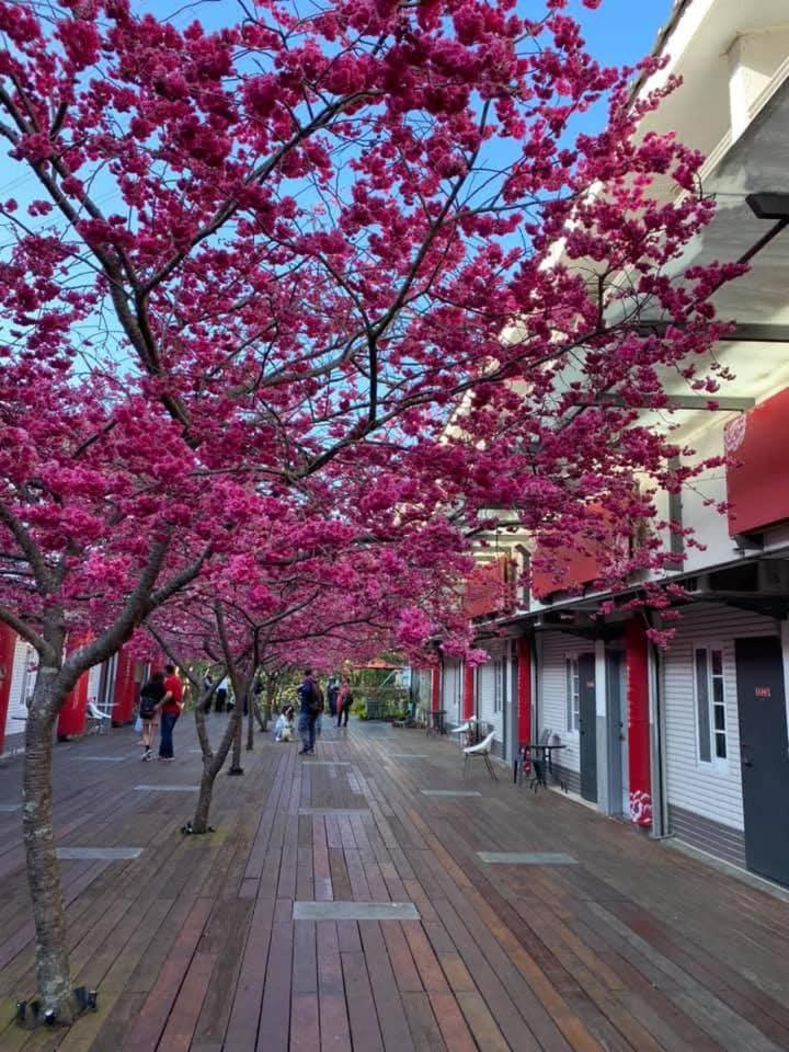 Miaoli Sanyi Shantongyazhu Homestay Exterior photo